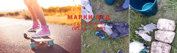 прущие грибы Верхний Тагил