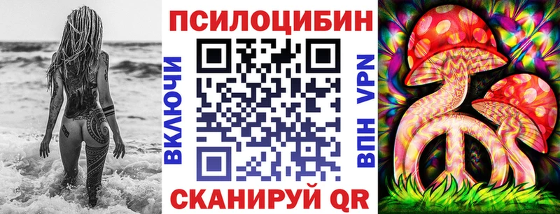 это клад Луга Галлюциногенные грибы MAGIC MUSHROOMS